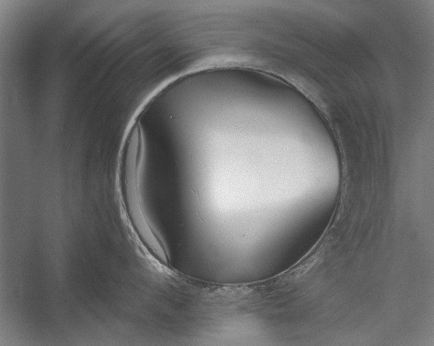 X0000056310912200509161614