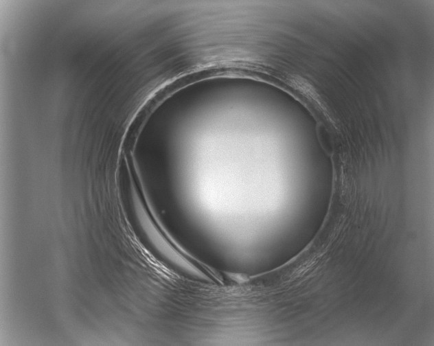 X0000056310924200509161613