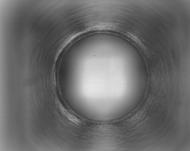 X0000056310934200509161613