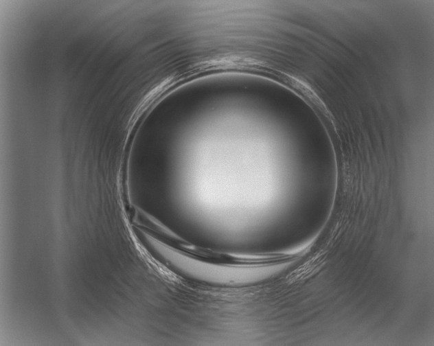 X0000056310946200509161613