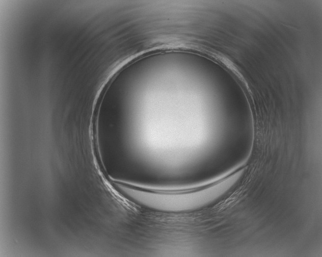 X0000056310951200509161613