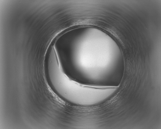 X0000056310980200509161612