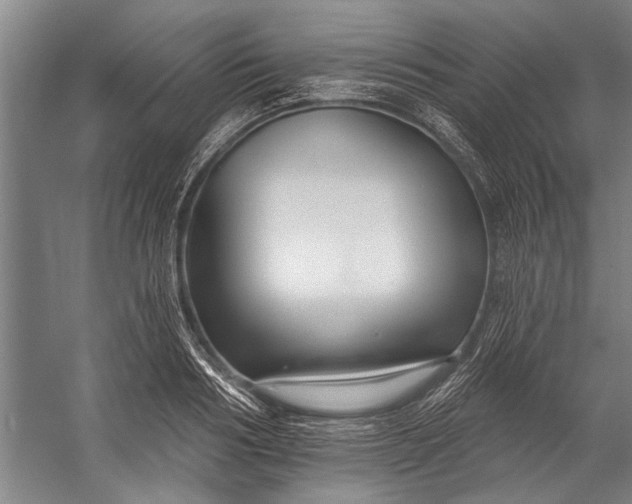 X0000056310986200509161612