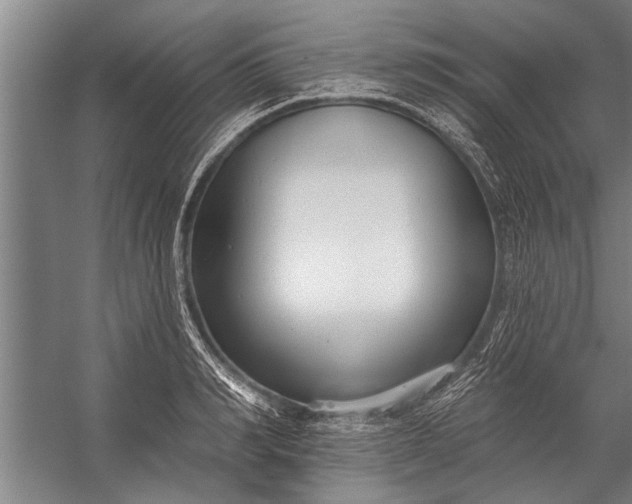 X0000056310990200509161612