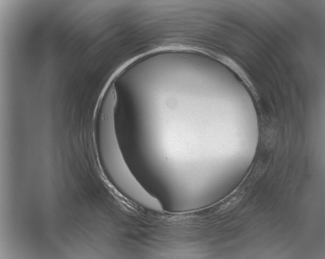 X0000056311004200509161612