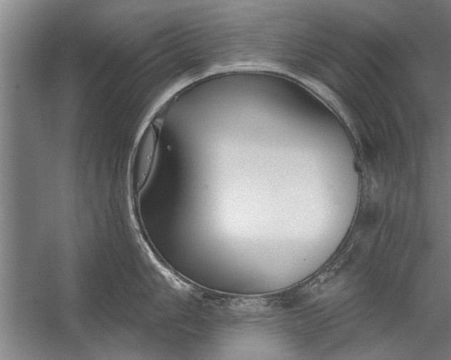 X0000056311006200509161612