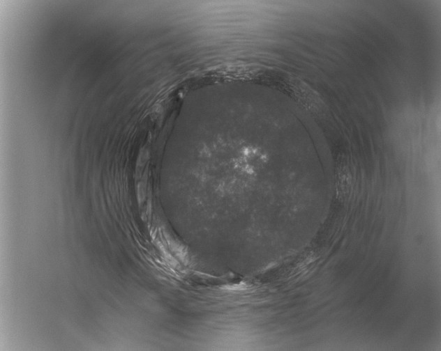 X0000056311010200509161611