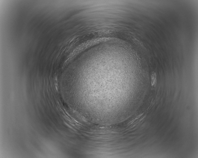 X0000056311011200509161611