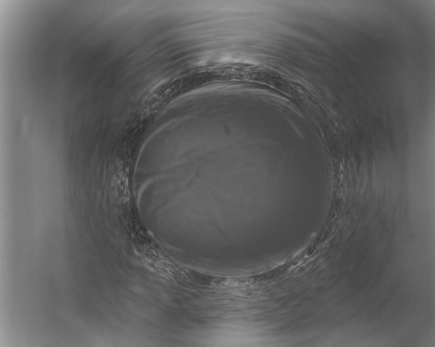 X0000056311013200509161611