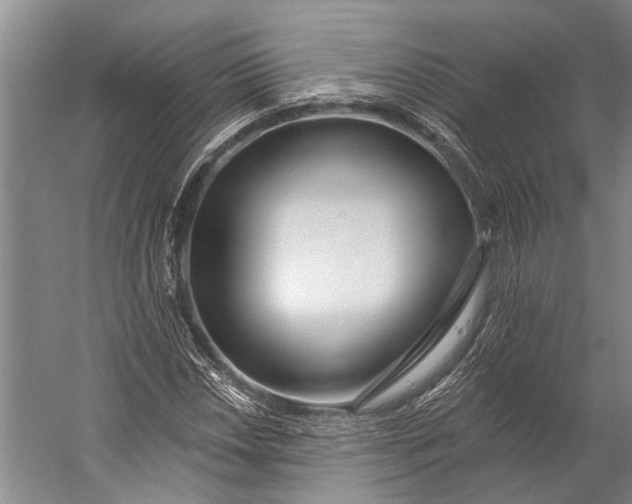 X0000056311018200509161611