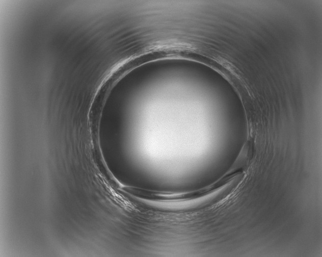 X0000056311022200509161611