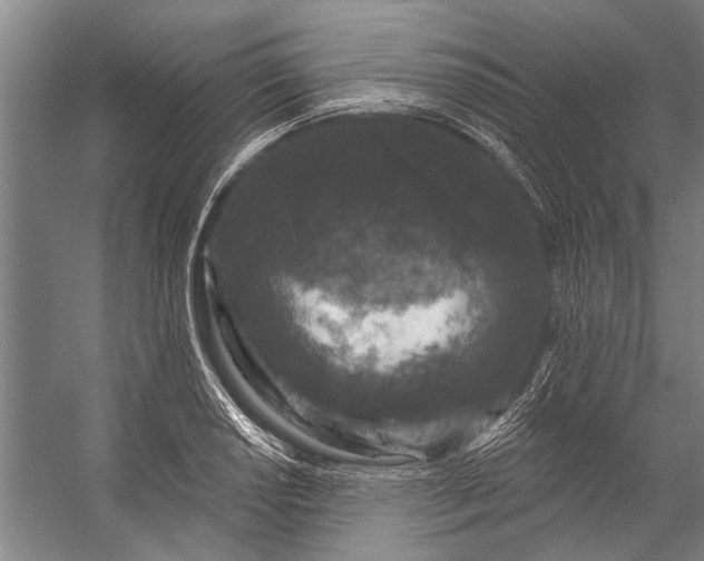 X0000056311034200509161612