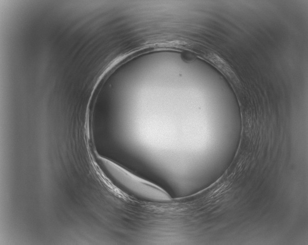 X0000056311036200509161612