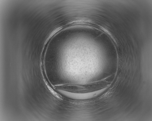 X0000056311042200509161612