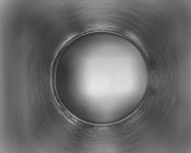 X0000056311043200509161612