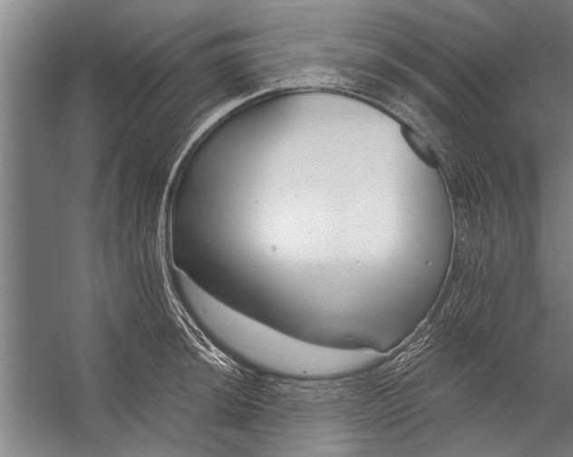 X0000056311044200509161612