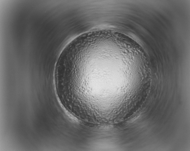 X0000056311055200509161612