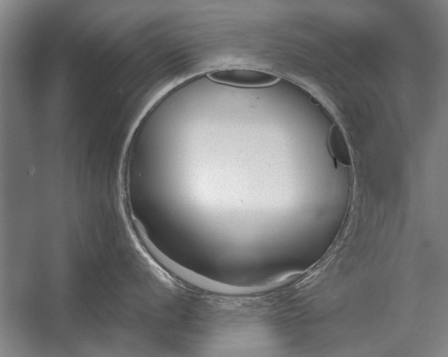 X0000056311056200509161612