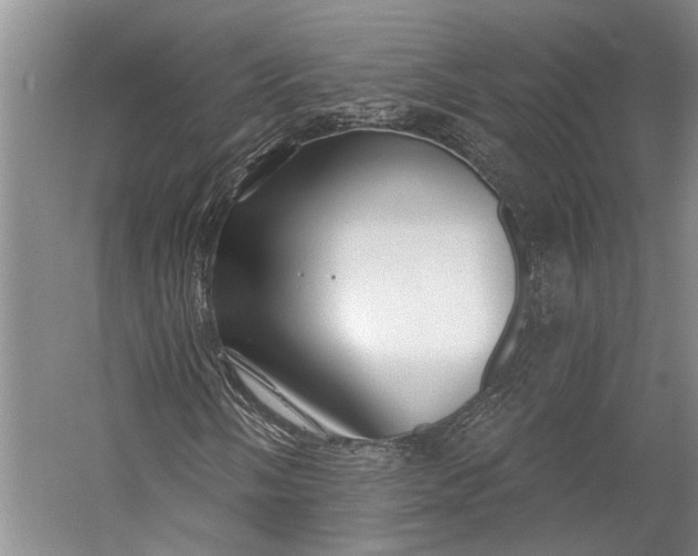 X0000056311058200509161611