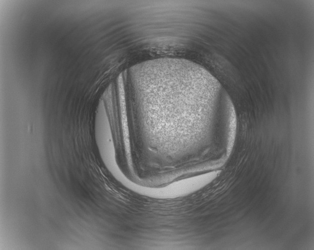 X0000056311060200509161611
