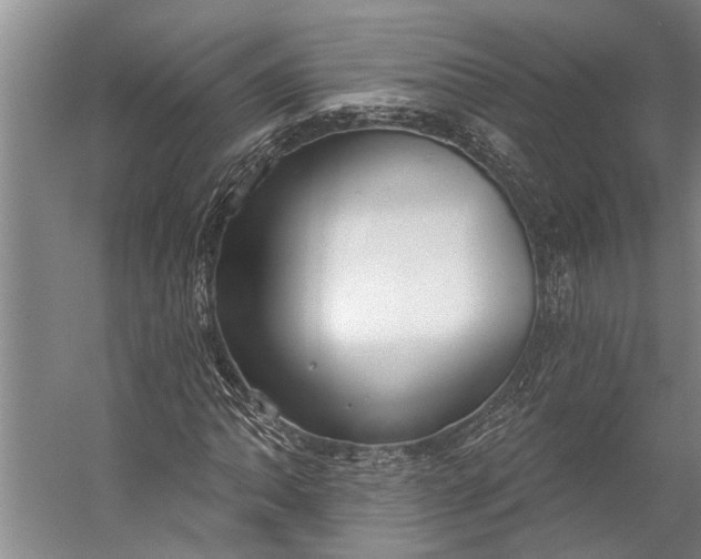 X0000056311062200509161611