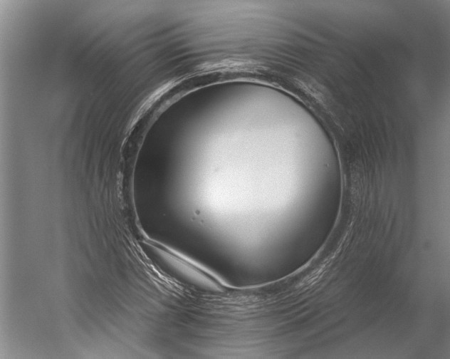 X0000056311066200509161611