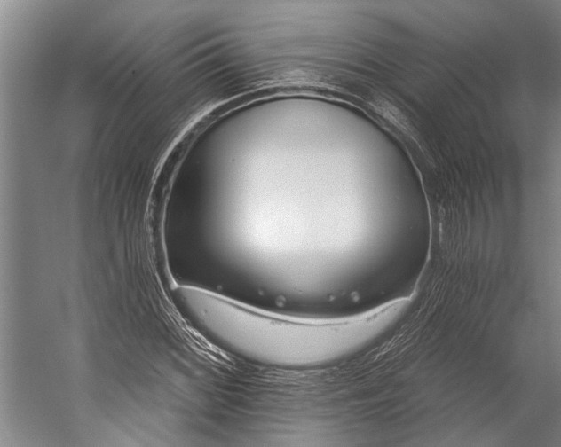 X0000056311068200509161611