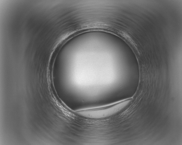 X0000056311072200509161611