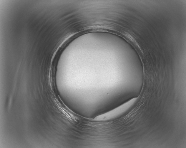 X0000056311076200509161611