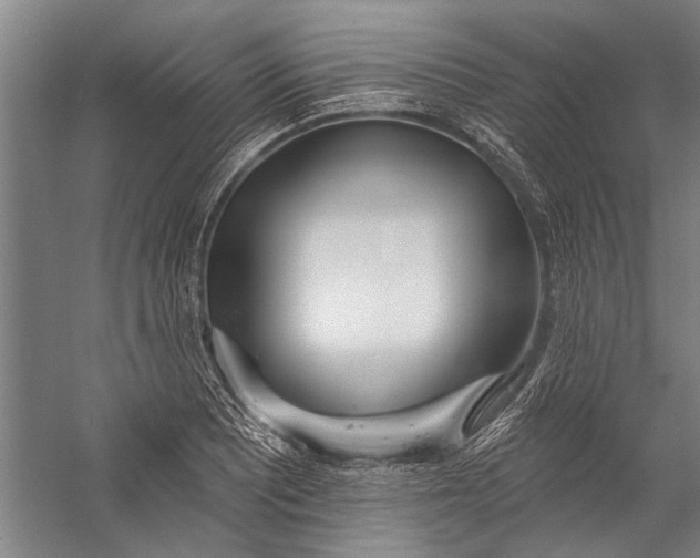 X0000056311081200509161611