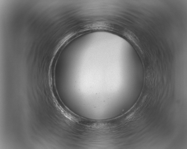 X0000056311082200509161611