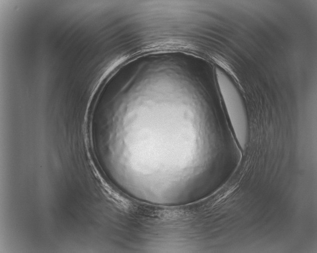 X0000056311087200509161611
