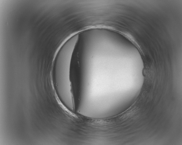 X0000056311100200509161610