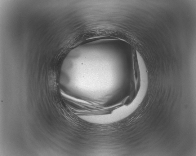 X0000056311108200509161610