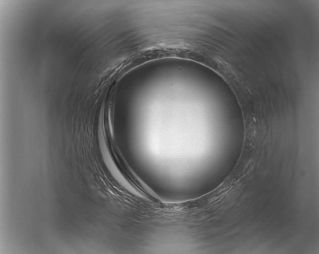 X0000056311110200509161610