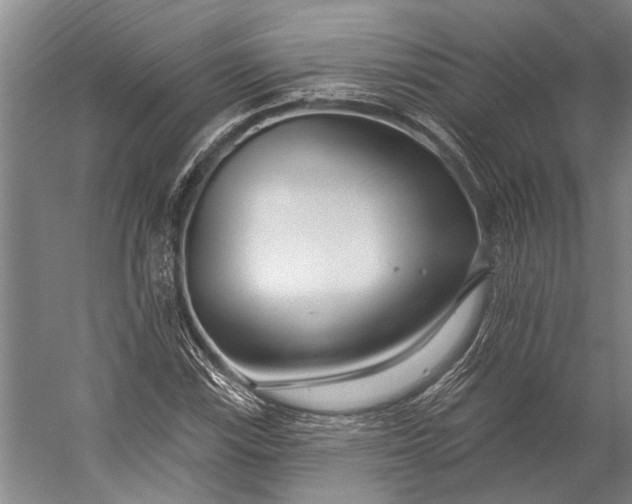 X0000056311115200509161610