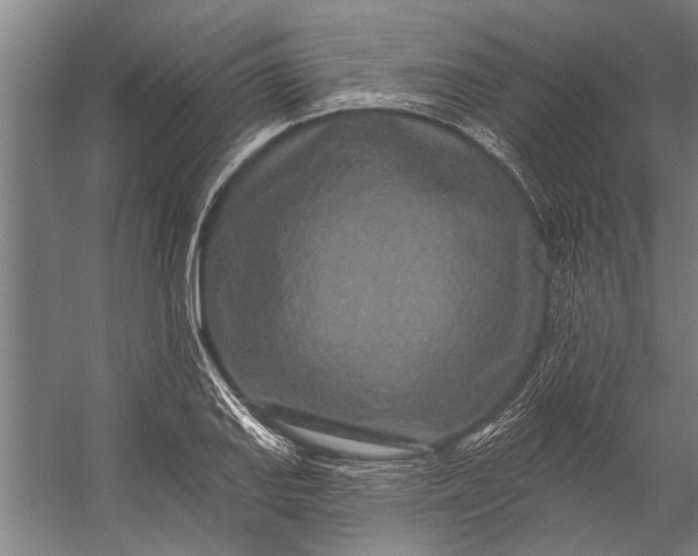 X0000056311127200509161610