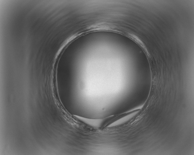X0000056311146200509161610