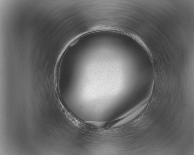 X0000056311148200509161610