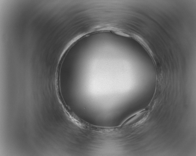 X0000056311149200509161610
