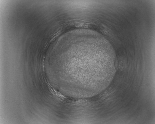 X0000056311154200509161610