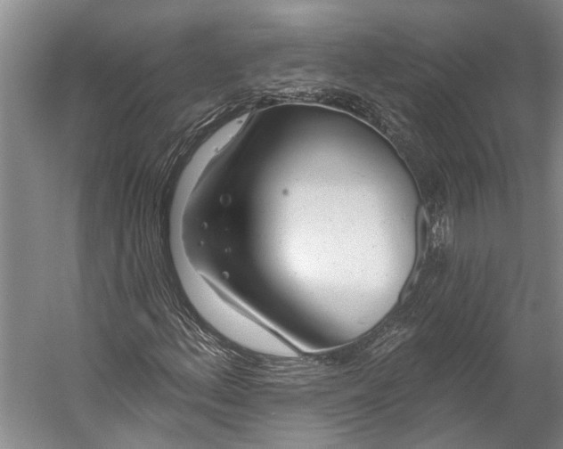 X0000056311156200509161609