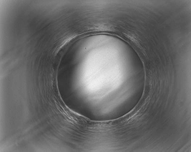 X0000056311163200509161609