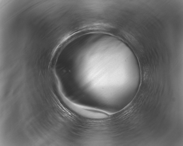 X0000056311164200509161609