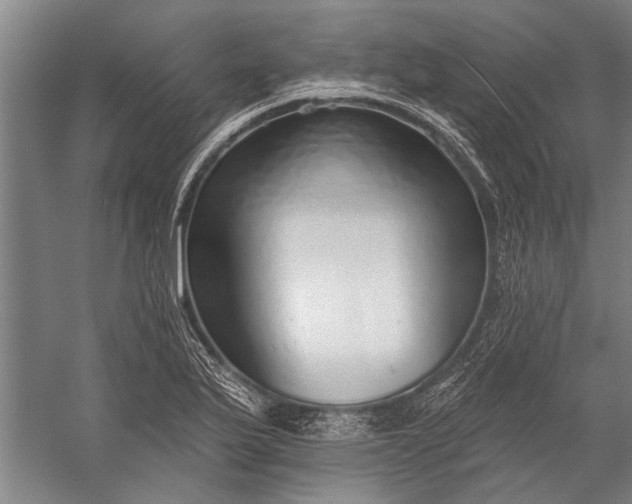 X0000056311175200509161609