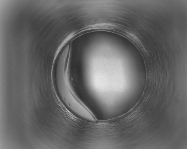 X0000056311180200509161609