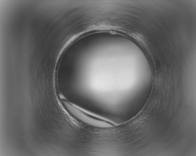 X0000056311183200509161609
