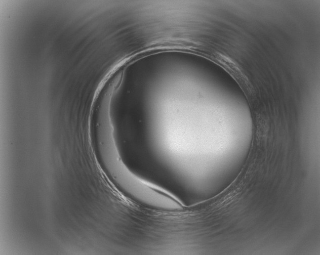 X0000056311188200509161609