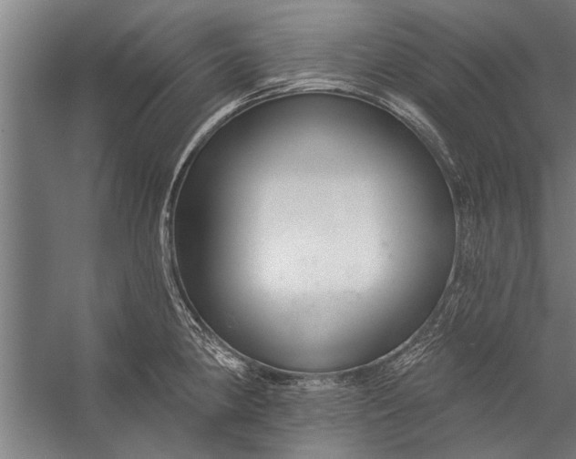 X0000056311190200509161609