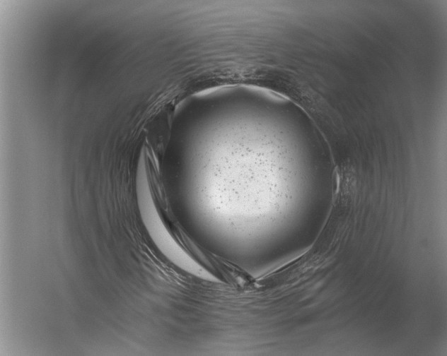 X0000056311202200509161608